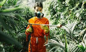 Benefits of Eco-Friendly Pest Control Techniques